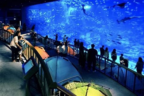Book Tickets Sea Aquarium Singapore Ofw