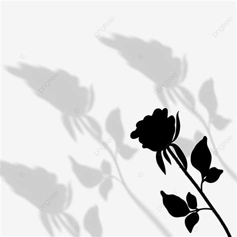Roses Aesthetic Clipart Hd Png Roses Shadows Overlay Effect Aesthetic