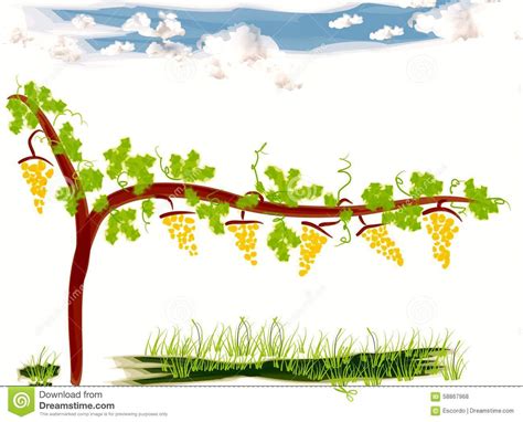 Vineyard Clipart 20 Free Cliparts Download Images On Clipground 2023
