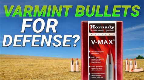 Varmint Bullets For Defense 300aac 110gr V Max Gel Test Youtube