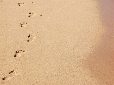 Footprints In The Sand Clip Art