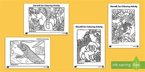 Free Marwell Zoo Colouring Activity Primary Resources Twinkl