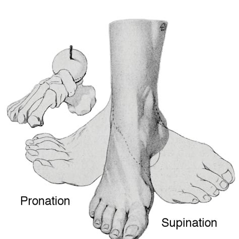 Pronation And Supination Of Feet Causes Remedies
