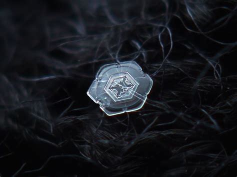 29 Incredible Close Ups Of Snowflakes Shot With A Homemade Camera Rig
