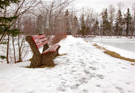 A Park Bench In Winter Stock Image Image Of Park December 96883111