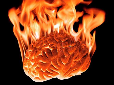 Burning Human Brain Photograph By Victor De Schwanberg Pixels