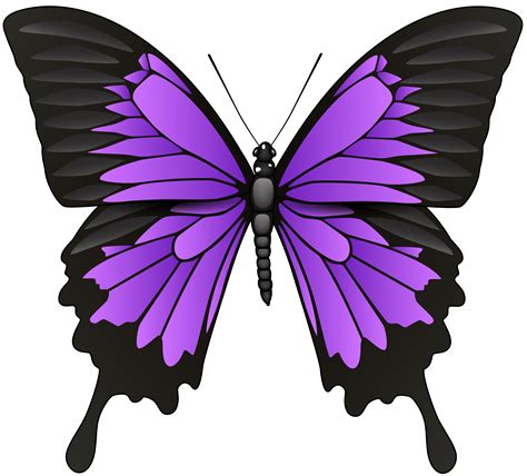 Butterfly Clipart Png Pink : Butterfly Pink Clipart · Free image on ...