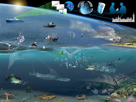 Challenges Welcome To Marine Alliance For Science And Technology For