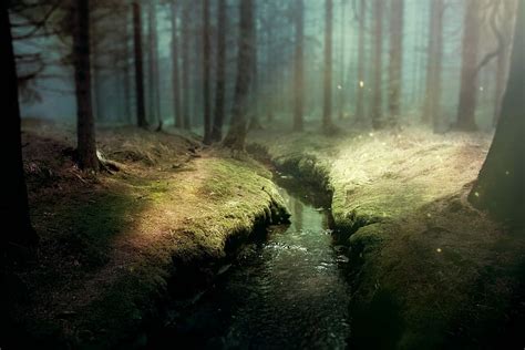 1920x1080px Free Download Hd Wallpaper River Between Trees At