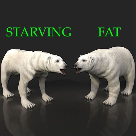 2 bears bony skinny starving ravenous 3d model 2