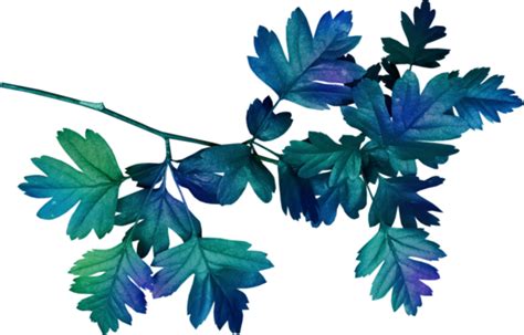Forgetmenot Blue Leaves