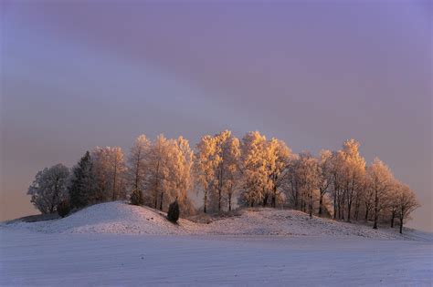 Winter Wonderland Sunrise Sweden 2048 X 1365 Oc Expose Nature