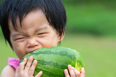 Baby Eating Watermelon Little Asian Baby Eating Watermelon Flickr