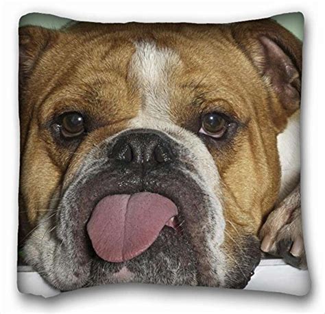 Find a bulldog on gumtree, the #1 site for dogs & puppies for sale classifieds ads in the uk. English Bulldog Gifts - Kritters in the Mailbox Animal Gifts