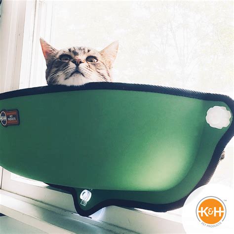 Kandh Ez Mount Window Bed™ Fpr Cats — Kandh Pet Products