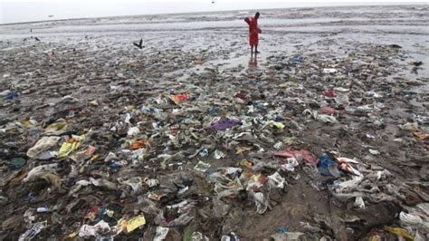 环境污染再敲警钟：科学家分门别类发现海洋河流最大污染源 bbc news 中文