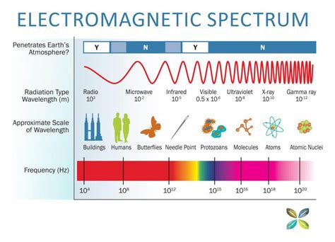 Parts Of The Electromagnetic Spectrum 022022
