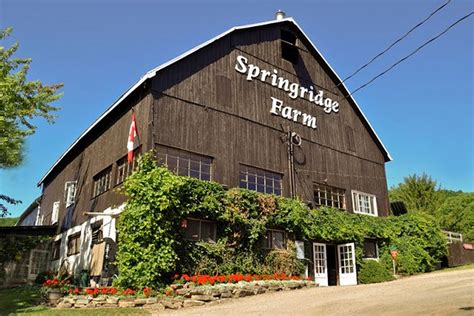 Springridge Farm - Hamilton Halton Brant