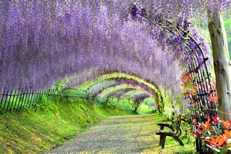 Most Beautiful Places In Japan Cnn