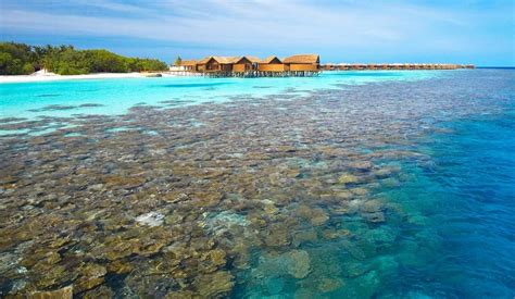 Best Maldives Resorts For Snorkeling At House Reef 2021
