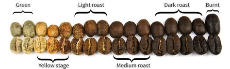 The Art Of Coffee Roasting Caffe Society