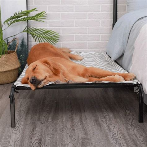 New Extra Large Elevated Dog Pet Bed Cot 57dbc Uncle Wieners Wholesale