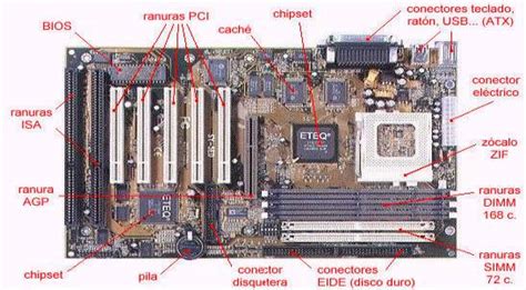 Board Y Sus Partes La Board Y Sus Partes