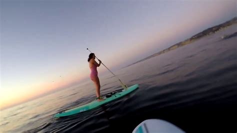 Paddleboarders Get Surprise Visit From Friendly Whale In La Jolla Youtube