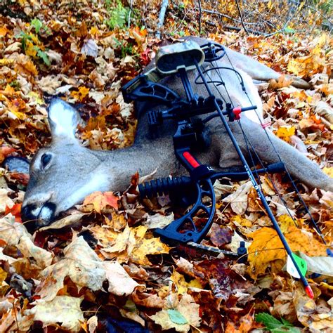 The Maine Outdoorsman A Swing And A Miss