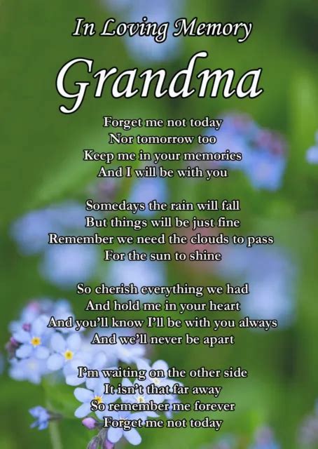 GRANDMA FORGET ME Not Poem Graveside Memorial Sympathy Funeral Card Stake F PicClick UK