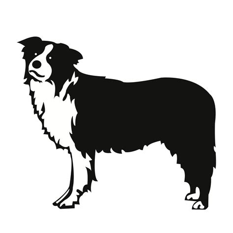 Rough Collie Clipart 20 Free Cliparts Download Images On Clipground 2023