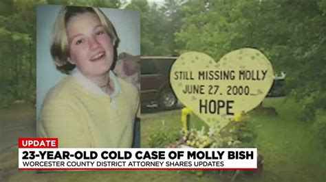 worcester county da provides update on unsolved molly bish case youtube