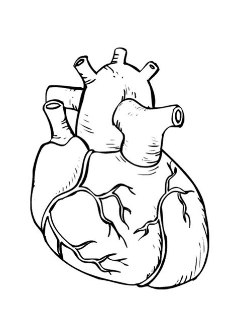 coloring page heart img