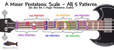 For The Bassists The A Minor Pentatonic Scale All Positions