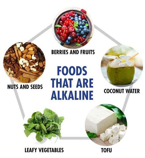 What Is An Alkaline Diet Things You Need To Know Fitnessgurru