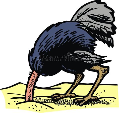 Ostrich With Head In The Sand Stock Vector Illustration Of Print