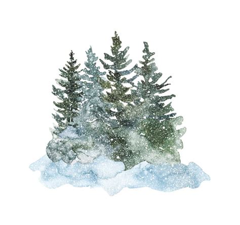 Ilustracja Lasów Zimowych W Akwareli Sylwetka Drzew Zielonych