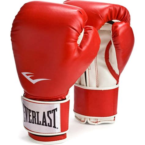 Everlast 16oz Red Pro Style Training Boxing Gloves