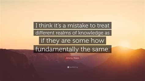 Jimmy Wales Quote I Think Its A Mistake To Treat Different Realms Of