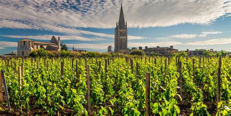 French Vineyard Most Beautiful Vineyards To Visit In France 2022