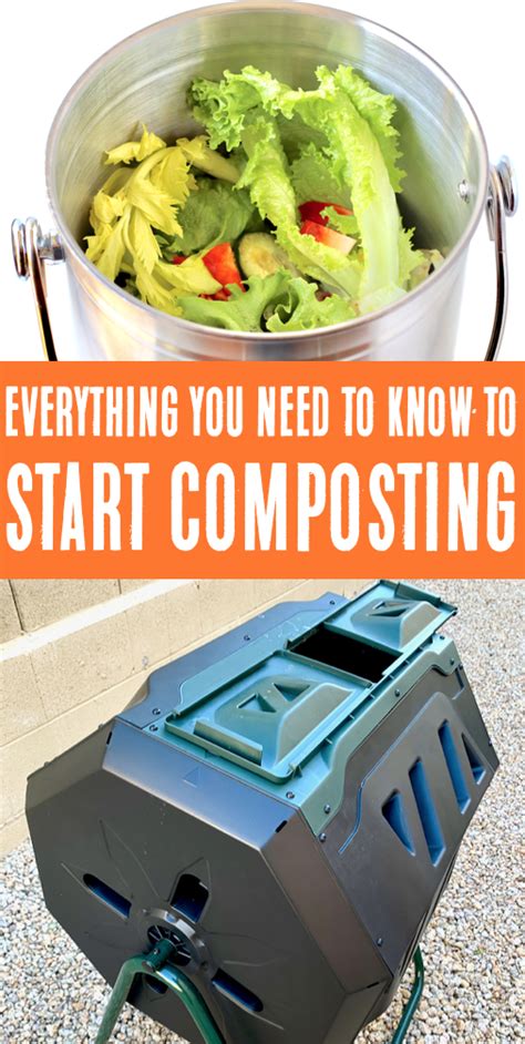 Compost Bin Diy Tips For Indoor And Outdoor Composting What To Put
