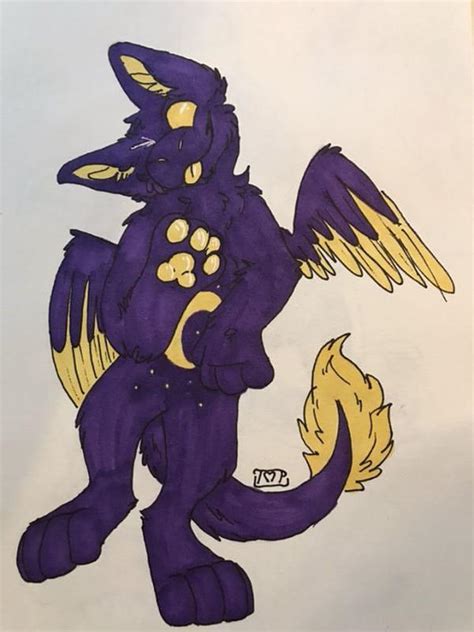 Midnight The Dutch Angel Dragon By Candytiger2006aj On Deviantart