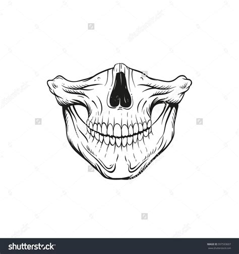 Skull Jaw Sketch Tattoo Design Hand Drawn Vector Illustration
