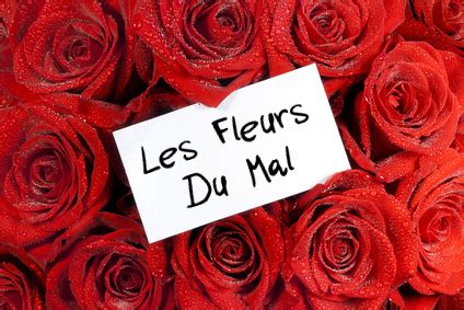 Las flores del mal (título original en francés: Les Fleurs du Mal : analyse | commentaire composé