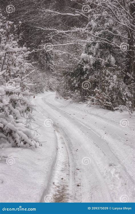 Narrow Winding Mountain Picturesque Road In Snow Through The Forest
