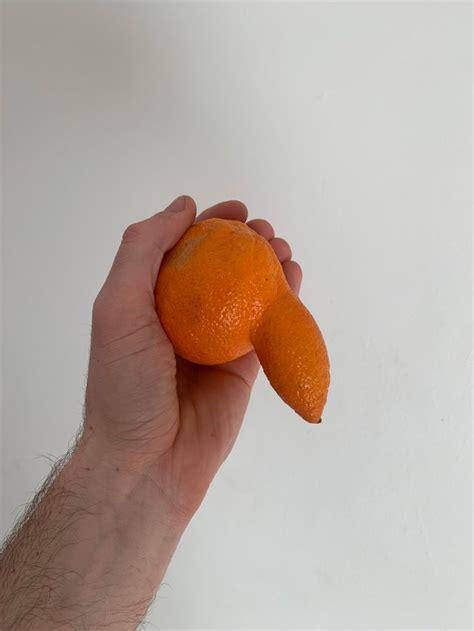 Orange Rmildlypenis