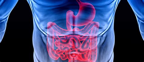 Gastroenterology