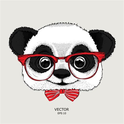 Image Portrait Of Panda In The Cravat And With Glasses Vector