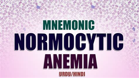 Mnemonic Normocytic Anemia Urduhindi Youtube
