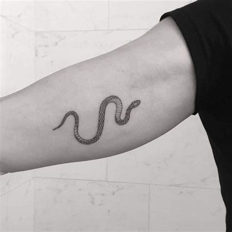 Snake Tattoo Serpent Tattoo Tattoos Small Snake Tattoo